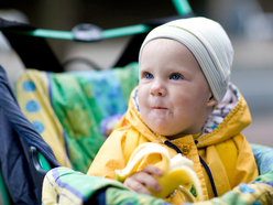 Older baby in a stroller eating a banana