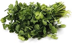 Herb Cilantro Organic, 1 Bunch