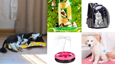 Pet accessories to pamper your furry, feathered and finned friends