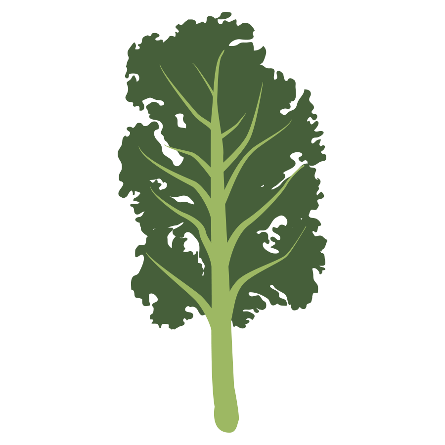 Kale illustration