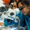 Two women in lab coats using a microscope to examine a circuit board in a laboratory.