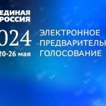 В электронном предварительном голосовании «Единой России» за 5 дней приняли участие 1,8 миллиона человек