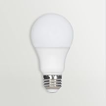 Light bulbs