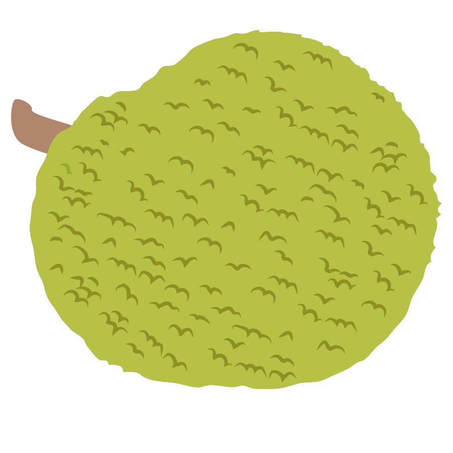 jack fruit (katthal) illustration