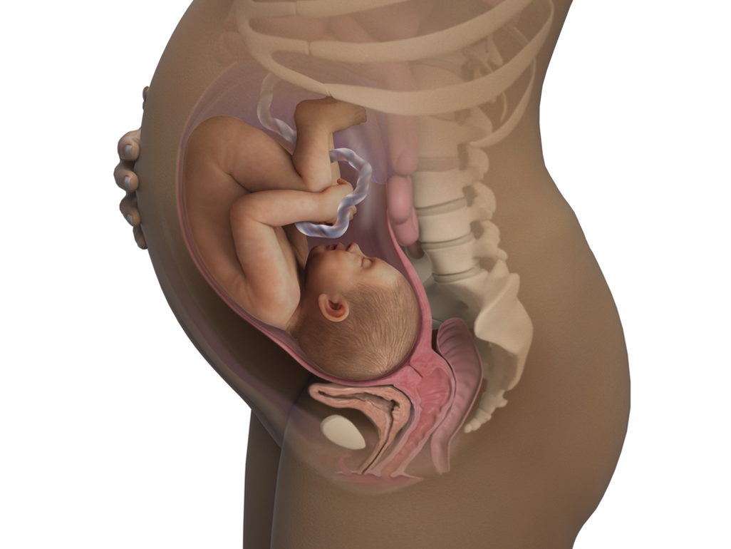 Image of a woman and her baby at 37 weeks of pregnancy