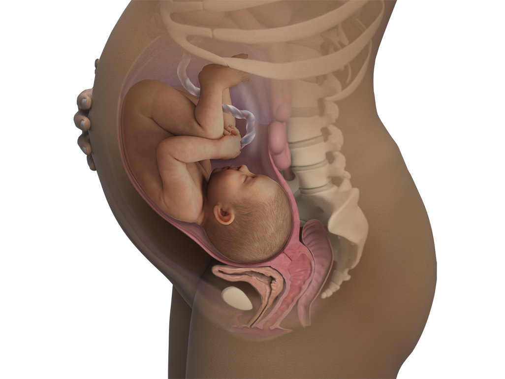 Image of a woman and her baby at 38 weeks of pregnancy