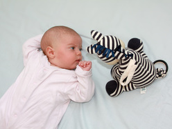 Baby looking at a toy