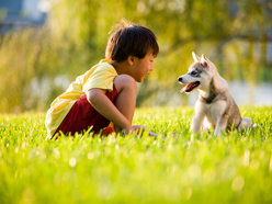 Happy boy outdoors with a dog 