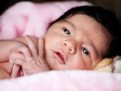 Newborn baby girl wrapped in a pink blanket