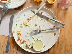 an empty dinner plate