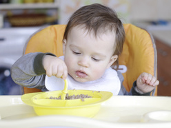 criança investigando a comida