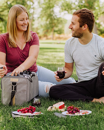 picnic cooler; picnic tote; picnic hike; picnic set; picnic bag; picnic set for 4