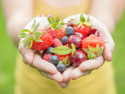 hands holding red berries