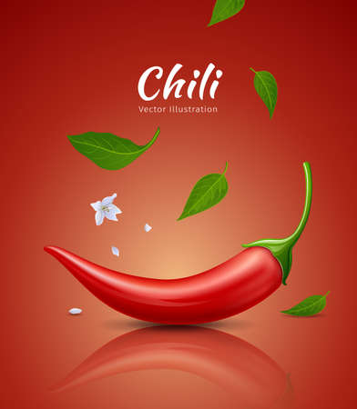 Chilischoten rot frisch und Blätter, Blumenchili realistisches Design, auf rotem Hintergrund, eps 10 Vektorillustration